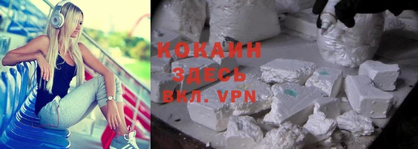 шишки Новый Уренгой