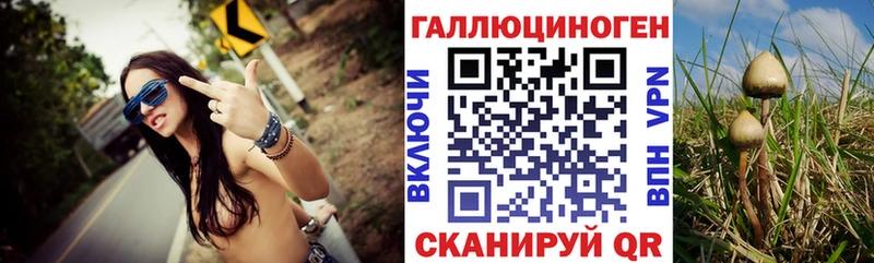 Псилоцибиновые грибы MAGIC MUSHROOMS  купить  сайты  Кингисепп 