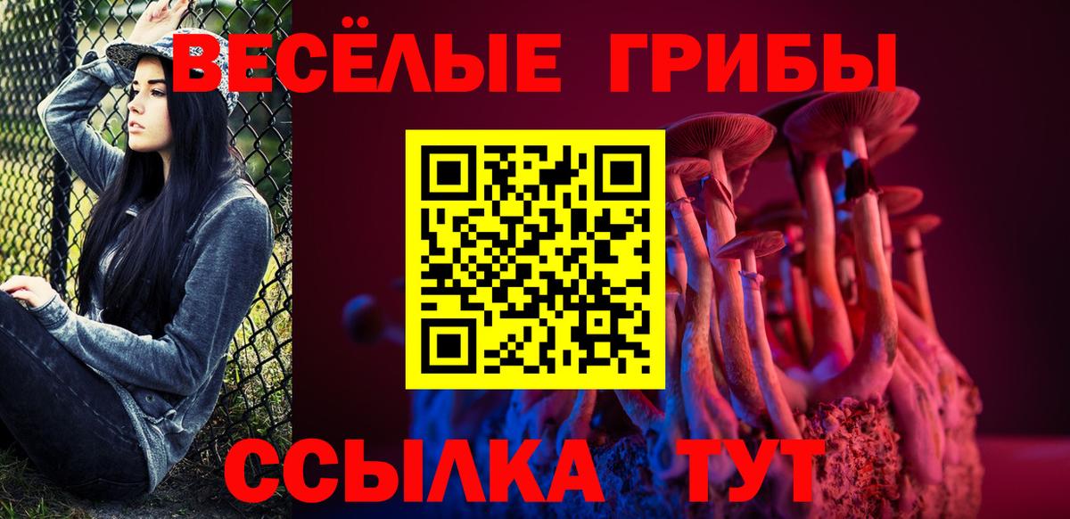 Псилоцибиновые грибы Psilocybine cubensis  Кингисепп  Галлюциногенные грибы Magic Shrooms 