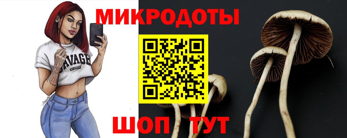 Псилоцибиновые грибы прущие грибы Кингисепп