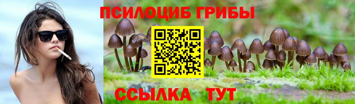 Псилоцибиновые грибы Psilocybe  Галлюциногенные грибы мухоморы  Кингисепп  Вход с VPN 
