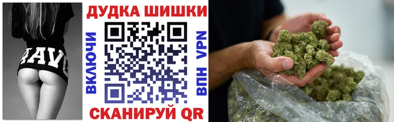omg tor  как найти наркотики  Кингисепп  Бошки Шишки OG Kush 
